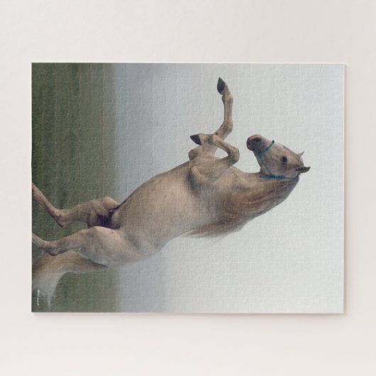 Grijze leeuwenkwekerij in de glazen mist legpuzzel (Horizontaal)