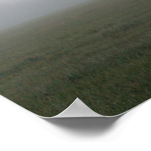 Grijze leeuwenkwekerij in de glazen mist poster (Hoek)