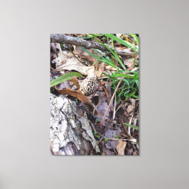 Grijze lentemodel op Canvas