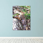 Grijze lentemodel op Canvas (Insitu (Houten vloer))