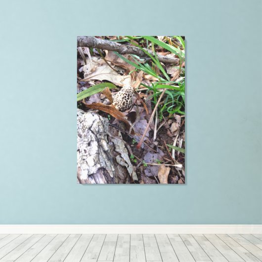 Grijze lentemodel op Canvas (Insitu (Houten vloer))