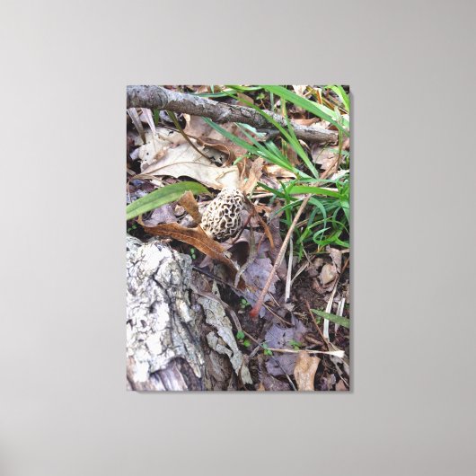 Grijze lentemodel op Canvas Afdruk (Voorkant)