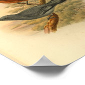 Grijze luchtkap afdrukken poster (Hoek)