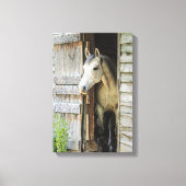 Grijze Mare Horse & Barn Rustic Canvas Afdrukken (Voorkant)