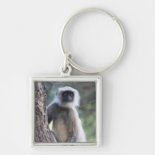 Grijze of gewone of Hanuman langur Sleutelhanger (Voorkant)