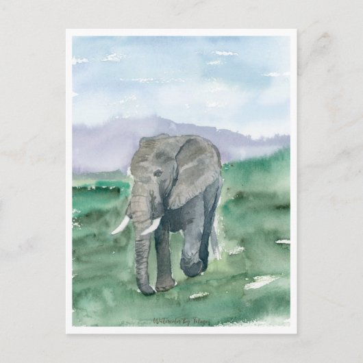 Grijze olifant in het Oerwoud Briefkaart (Voorkant)