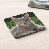 Grijze Onderzetters (Linkerzijde)