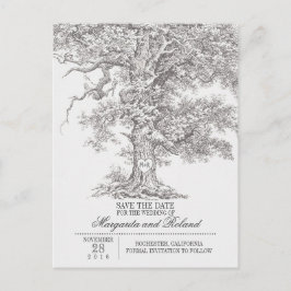 Grijze oude eik boom bewaar de datum briefkaarten