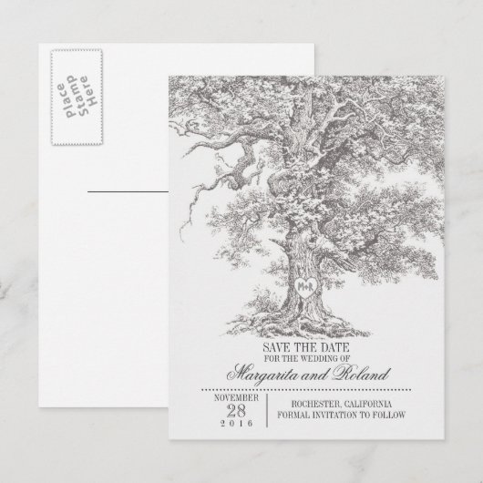 Grijze oude eik boom bewaar de datum briefkaarten (Voorkant / Achterkant)