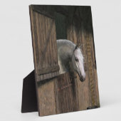 Grijze paarden aan de stabiele deur fotoplaat (Zijkant)