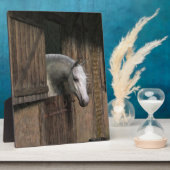 Grijze paarden aan de stabiele deur fotoplaat (Zijkant)