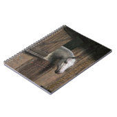 Grijze paarden aan de stabiele deur notitieboek (Linkerzijde)