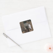 Grijze paarden aan de stabiele deur vierkante sticker (Envelop)