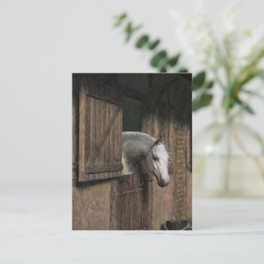 Grijze paarden aan het Briefkaart van de Stabiele  (Staand voorkant)