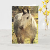 Grijze paarden, Birthday Kaart (Gele Bloem)