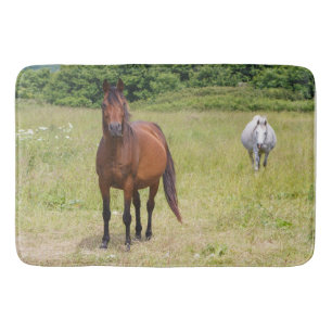 Grijze paarden en baaien badmat