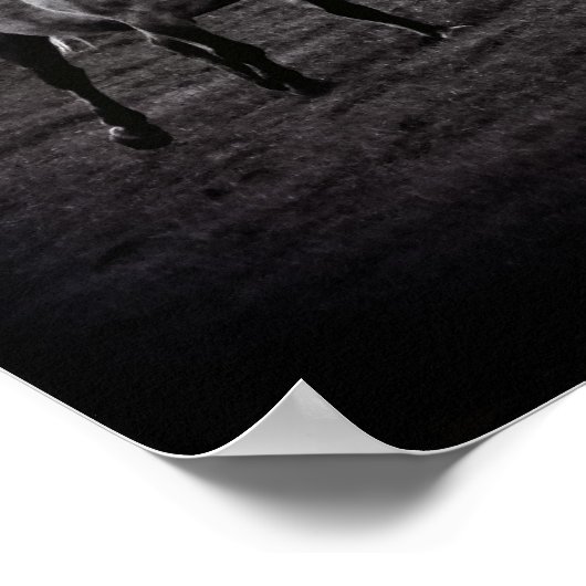 Grijze paarden Gallop Poster (Hoek)