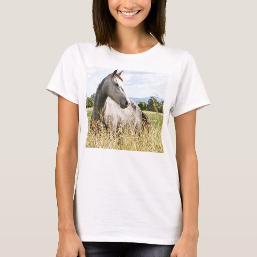 Grijze paarden in Paddock Long Meve Dames T-Shirt (Voorkant)