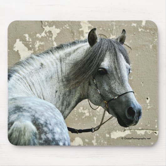 Grijze paarden muismat (Voorkant)