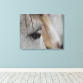 Grijze paardenkop Uitzicht Canvas Afdruk (Insitu (Houten vloer))