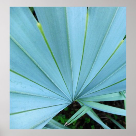 Grijze palmstructuur Bismarck Afdrukken Afsluiten Poster (Voorkant)