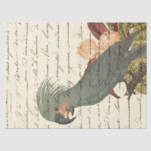 Grijze papegaai met bloemen en cursieve ontkoppeli tissuepapier