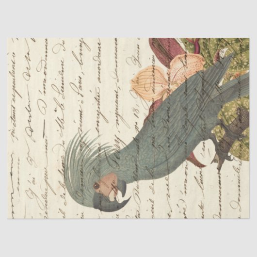 Grijze papegaai met bloemen en cursieve ontkoppeli tissuepapier (Voorkant)