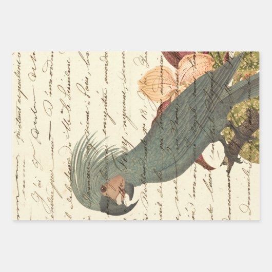 Grijze papegaai met bloemen en kromme inpakpapier vel (Voorkant 3)