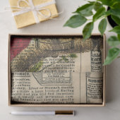 Grijze papegaai op ontkoppeling van  catalogus tissuepapier (Geschenk)