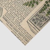 Grijze papegaai op ontkoppeling van  catalogus tissuepapier (Detail)