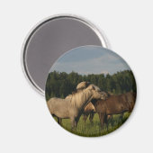 Grijze parelmoervlinder magneet (Voorkant / Achterkant)