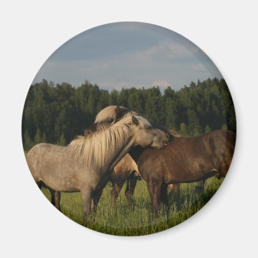 Grijze parelmoervlinder magneet (Voorkant)