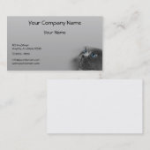 Grijze Perzische Kat met blauwe ogen op grijze ach Visitekaartje (Voorkant / Achterkant)