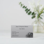 Grijze Perzische Kat met blauwe ogen op grijze ach Visitekaartje (Staand voorkant)