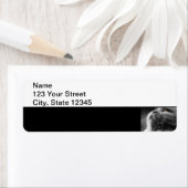 Grijze Perzische Kat op Zwarte Rand Etiket (Insitu)