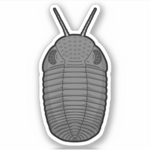 Grijze Phacops Trilobite - Prehistorisch Dierenvin Sticker