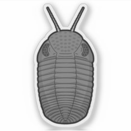 Grijze Phacops Trilobite - Prehistorisch Dierenvin Sticker