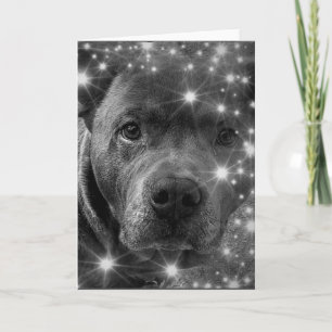 Grijze Pitbull Terrier met Glitters Hond Liefhebbe Kaart