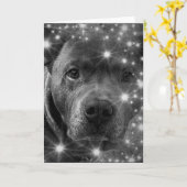 Grijze Pitbull Terrier met Sparkles Hondenliefhebb Kaart (Gele Bloem)