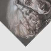 Grijze poedel gekleed als een prinses tissuepapier (Detail)