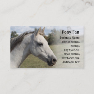 Grijze Pony - Foto Visitekaartje
