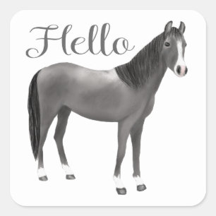 Grijze Pony Ruiterij Denk aan jou Hallo Paard Vierkante Sticker