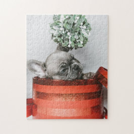 Grijze puppy in een rode doos legpuzzel