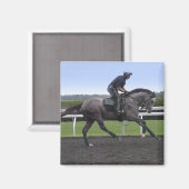 Grijze race paard magneet (Voorkant / Achterkant)