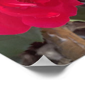 grijze Red Bloemige Print (Hoek)
