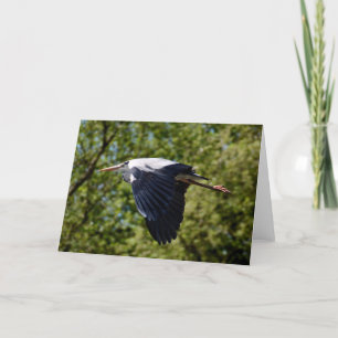Grijze reiger die leeg wenskaart vliegen kaart