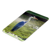 Grijze reiger Flexibele Fotomagneet #3 Magneet (Linkerzijde)