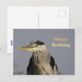 Grijze Reiger Gelukkige Verjaardag Ansichtkaart Briefkaart (Voorkant / Achterkant)