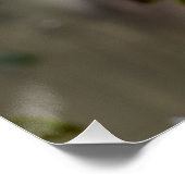 Grijze reiger perfect poster (Hoek)