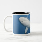 Grijze rifhaai (Carcharhinus amblyrhynchos) Tweekleurige Koffiemok (Links)